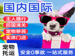 南宁吴圩空运国际宠物托运 【国